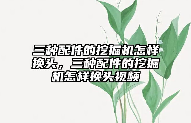 三種配件的挖掘機怎樣換頭，三種配件的挖掘機怎樣換頭視頻