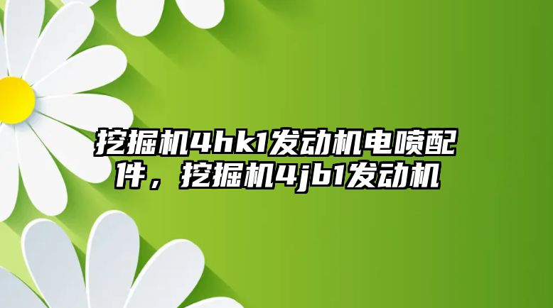 挖掘機4hk1發(fā)動機電噴配件，挖掘機4jb1發(fā)動機