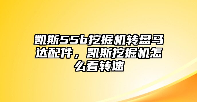 凱斯55b挖掘機轉(zhuǎn)盤馬達配件，凱斯挖掘機怎么看轉(zhuǎn)速