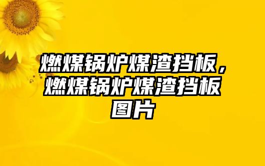 燃煤鍋爐煤渣擋板，燃煤鍋爐煤渣擋板圖片