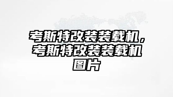 考斯特改裝裝載機，考斯特改裝裝載機圖片