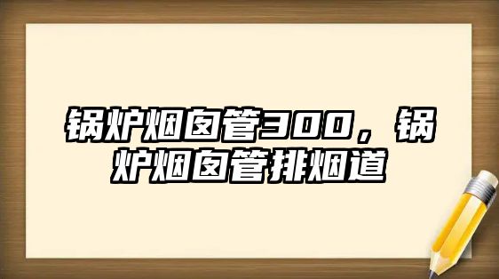 鍋爐煙囪管300，鍋爐煙囪管排煙道