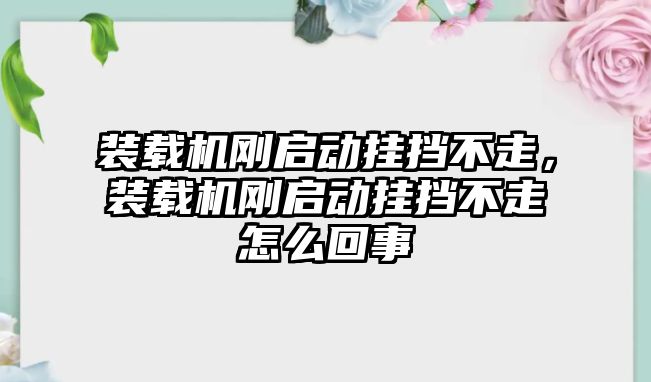 裝載機剛啟動掛擋不走，裝載機剛啟動掛擋不走怎么回事