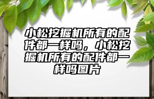 小松挖掘機所有的配件都一樣嗎，小松挖掘機所有的配件都一樣嗎圖片