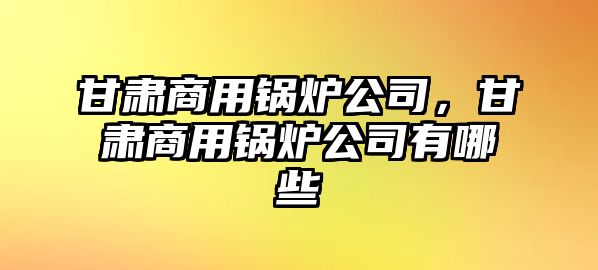 甘肅商用鍋爐公司，甘肅商用鍋爐公司有哪些