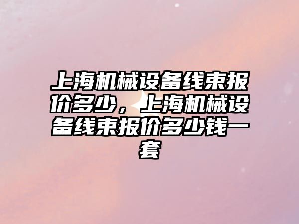 上海機械設備線束報價多少，上海機械設備線束報價多少錢一套