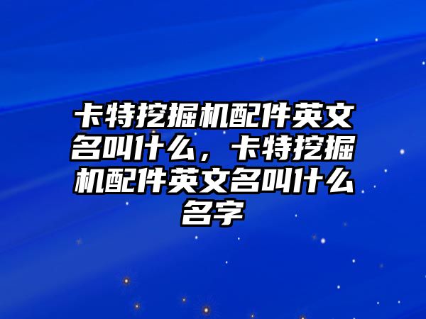 卡特挖掘機配件英文名叫什么，卡特挖掘機配件英文名叫什么名字