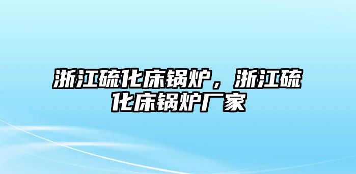 浙江硫化床鍋爐，浙江硫化床鍋爐廠家