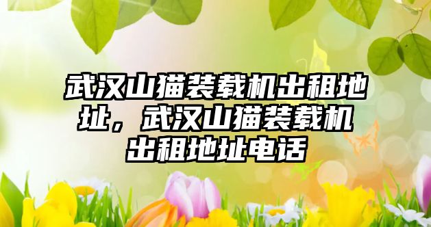 武漢山貓裝載機(jī)出租地址，武漢山貓裝載機(jī)出租地址電話