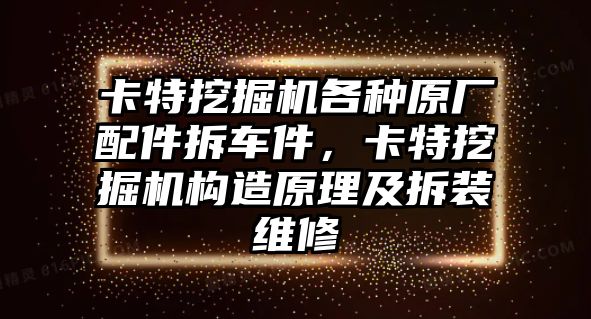 卡特挖掘機(jī)各種原廠配件拆車(chē)件，卡特挖掘機(jī)構(gòu)造原理及拆裝維修