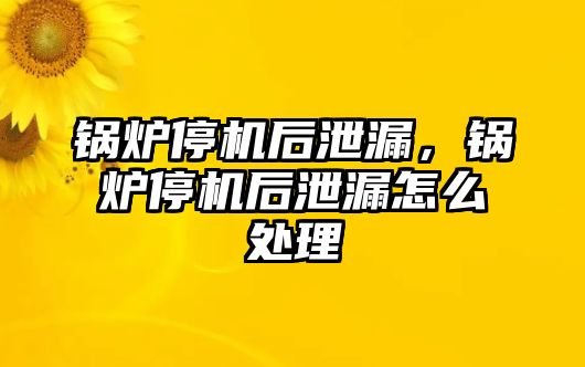 鍋爐停機后泄漏，鍋爐停機后泄漏怎么處理