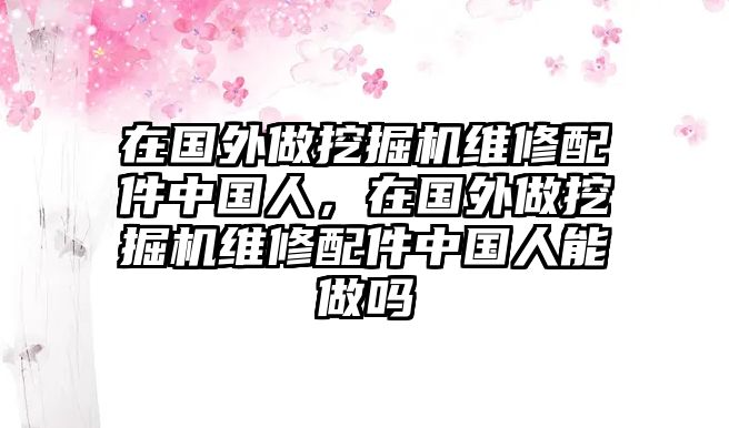 在國外做挖掘機(jī)維修配件中國人，在國外做挖掘機(jī)維修配件中國人能做嗎