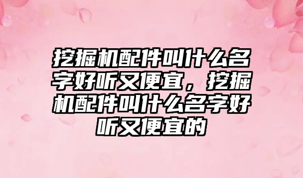 挖掘機配件叫什么名字好聽又便宜，挖掘機配件叫什么名字好聽又便宜的