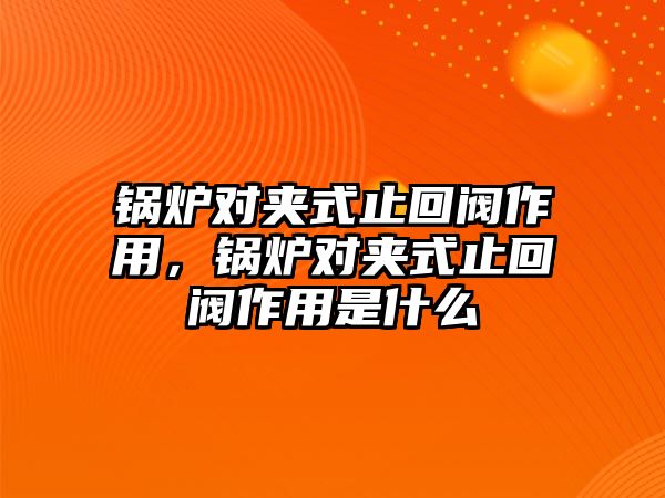 鍋爐對(duì)夾式止回閥作用，鍋爐對(duì)夾式止回閥作用是什么