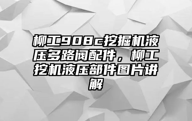 柳工908c挖掘機(jī)液壓多路閥配件，柳工挖機(jī)液壓部件圖片講解