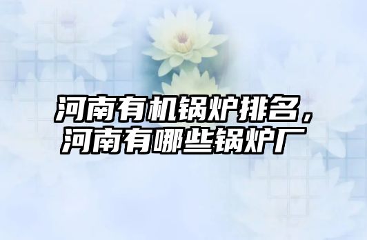 河南有機鍋爐排名，河南有哪些鍋爐廠