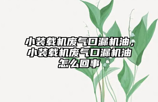 小裝載機廢氣口漏機油，小裝載機廢氣口漏機油怎么回事