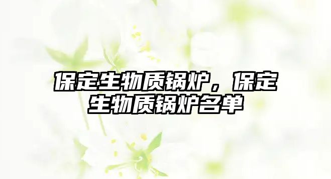 保定生物質(zhì)鍋爐，保定生物質(zhì)鍋爐名單