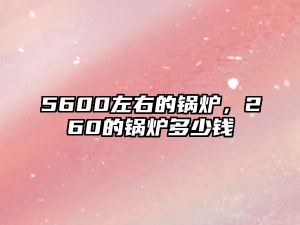 5600左右的鍋爐，260的鍋爐多少錢