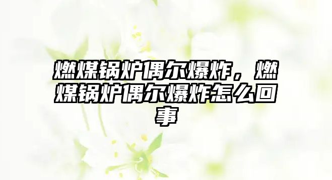 燃煤鍋爐偶爾爆炸，燃煤鍋爐偶爾爆炸怎么回事