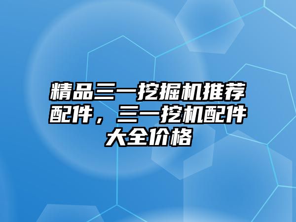 精品三一挖掘機(jī)推薦配件，三一挖機(jī)配件大全價格