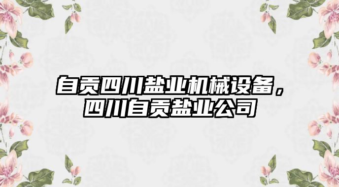 自貢四川鹽業(yè)機(jī)械設(shè)備，四川自貢鹽業(yè)公司