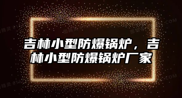 吉林小型防爆鍋爐，吉林小型防爆鍋爐廠家