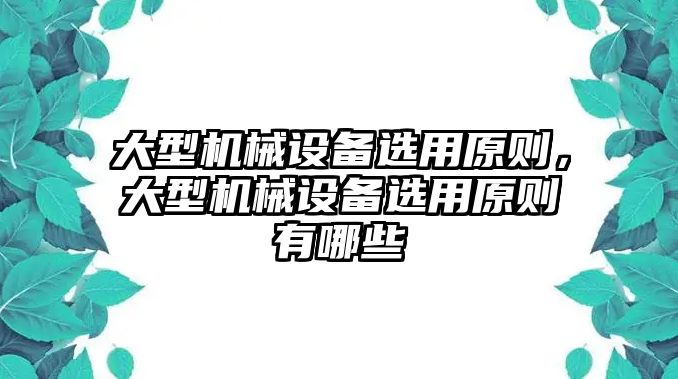 大型機(jī)械設(shè)備選用原則，大型機(jī)械設(shè)備選用原則有哪些