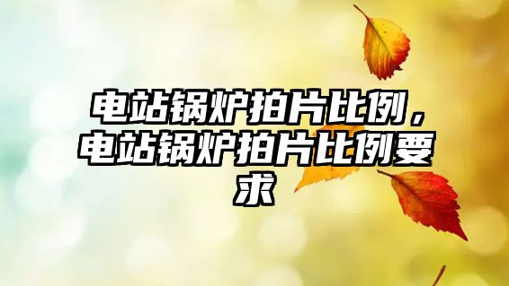 電站鍋爐拍片比例，電站鍋爐拍片比例要求