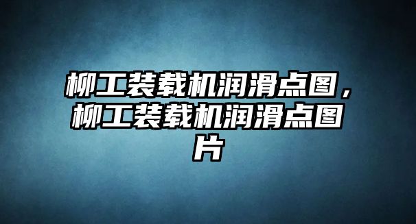 柳工裝載機(jī)潤(rùn)滑點(diǎn)圖，柳工裝載機(jī)潤(rùn)滑點(diǎn)圖片