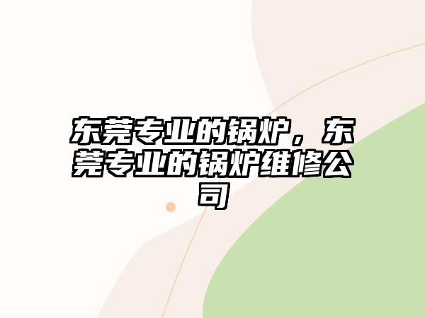 東莞專業(yè)的鍋爐，東莞專業(yè)的鍋爐維修公司