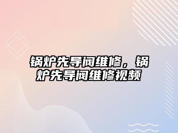 鍋爐先導(dǎo)閥維修，鍋爐先導(dǎo)閥維修視頻