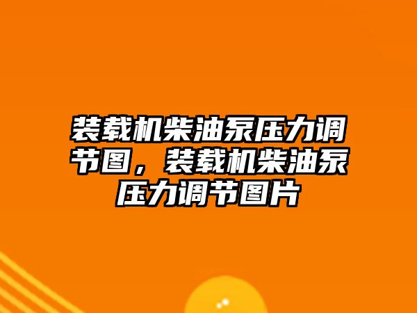 裝載機(jī)柴油泵壓力調(diào)節(jié)圖，裝載機(jī)柴油泵壓力調(diào)節(jié)圖片