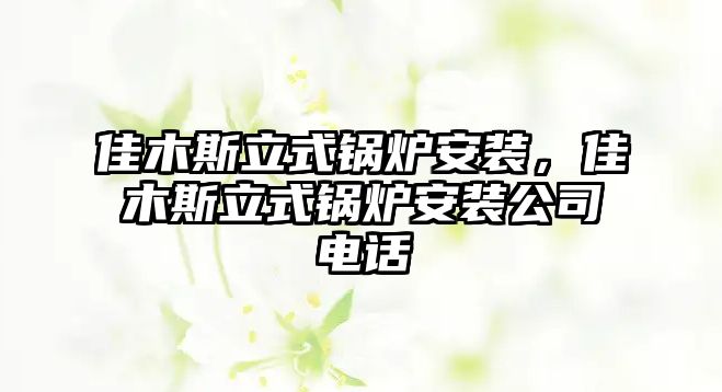 佳木斯立式鍋爐安裝，佳木斯立式鍋爐安裝公司電話