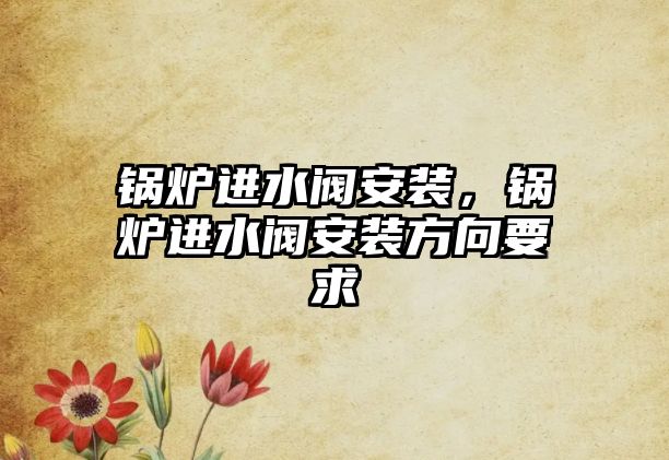 鍋爐進(jìn)水閥安裝，鍋爐進(jìn)水閥安裝方向要求