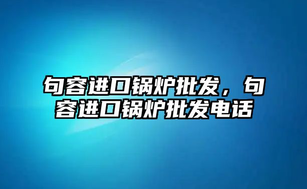 句容進(jìn)口鍋爐批發(fā)，句容進(jìn)口鍋爐批發(fā)電話