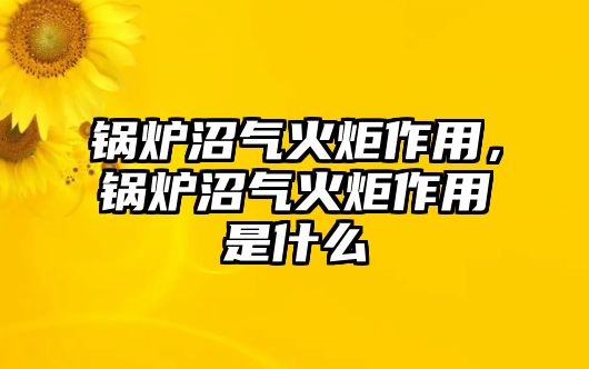 鍋爐沼氣火炬作用，鍋爐沼氣火炬作用是什么