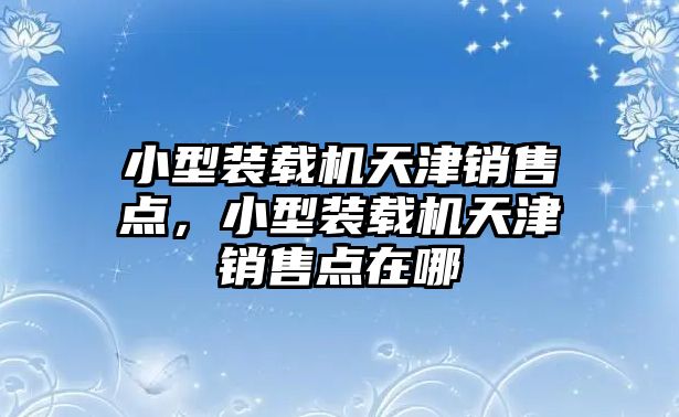 小型裝載機(jī)天津銷售點(diǎn)，小型裝載機(jī)天津銷售點(diǎn)在哪