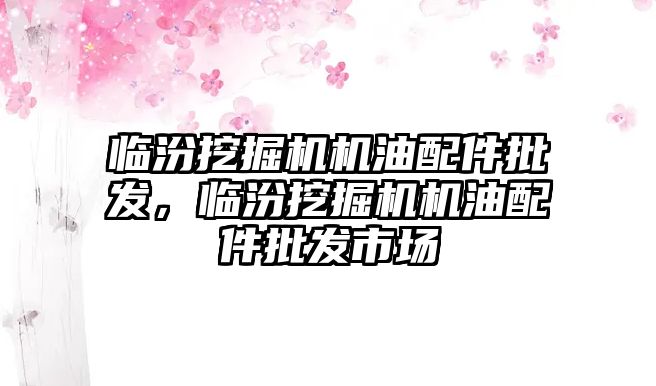 臨汾挖掘機機油配件批發(fā)，臨汾挖掘機機油配件批發(fā)市場